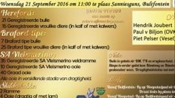 Aandele opsie verhandeling tyd