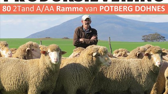 Wat gebeur as u aandele verval