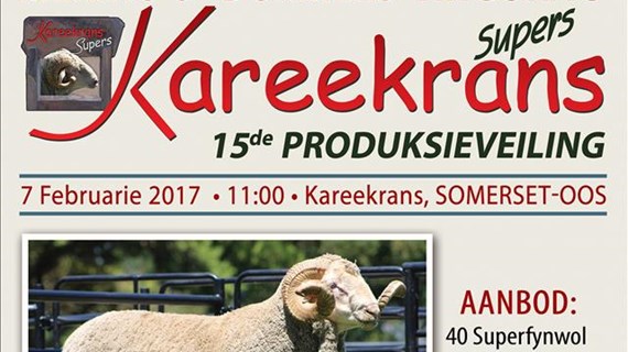 Aandele opsie verhandeling tyd