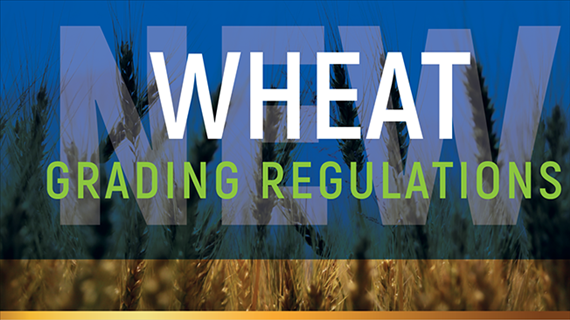 New Proposed Wheat Regulations